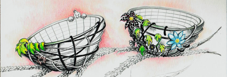 Portada de la página de Facebook de "Mis dos nidos"