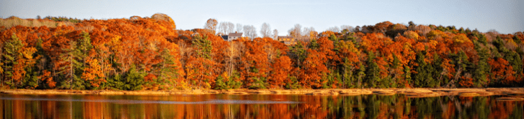 autumm editorial de libros infantiles juveniles